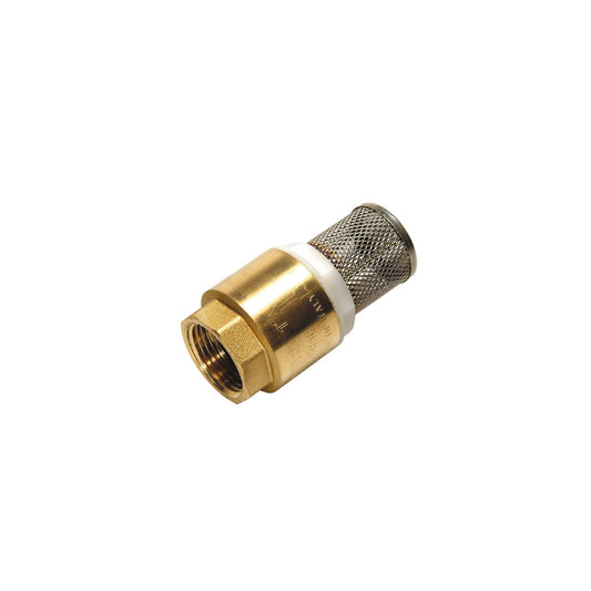 Foot valve and strainer - Brass (BSP Female)