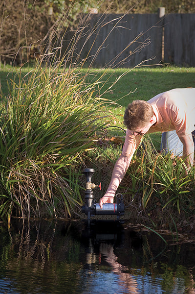 MH APP Pond and Water Feature Pump, location shot pump in pond