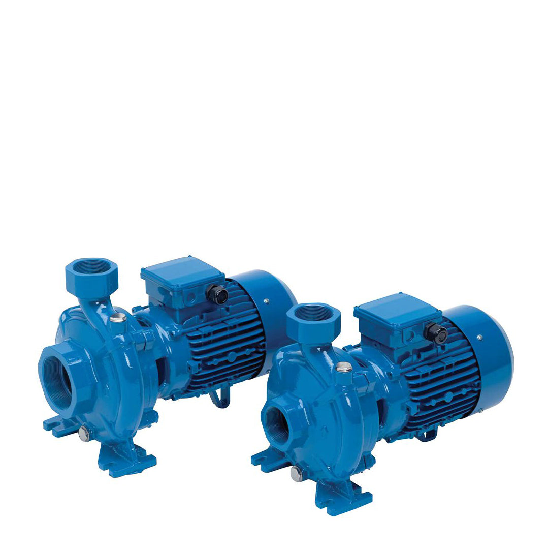 Speroni Blue CF, CFM Single Impeller Surface Pump