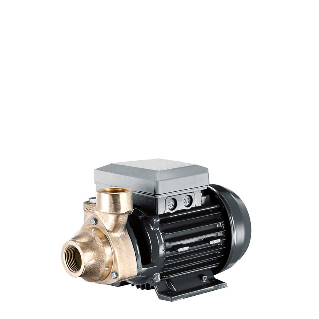 Speroni KPM50BR Stainless Steel Surface Pump